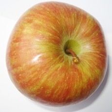 4-Apfel.jpg